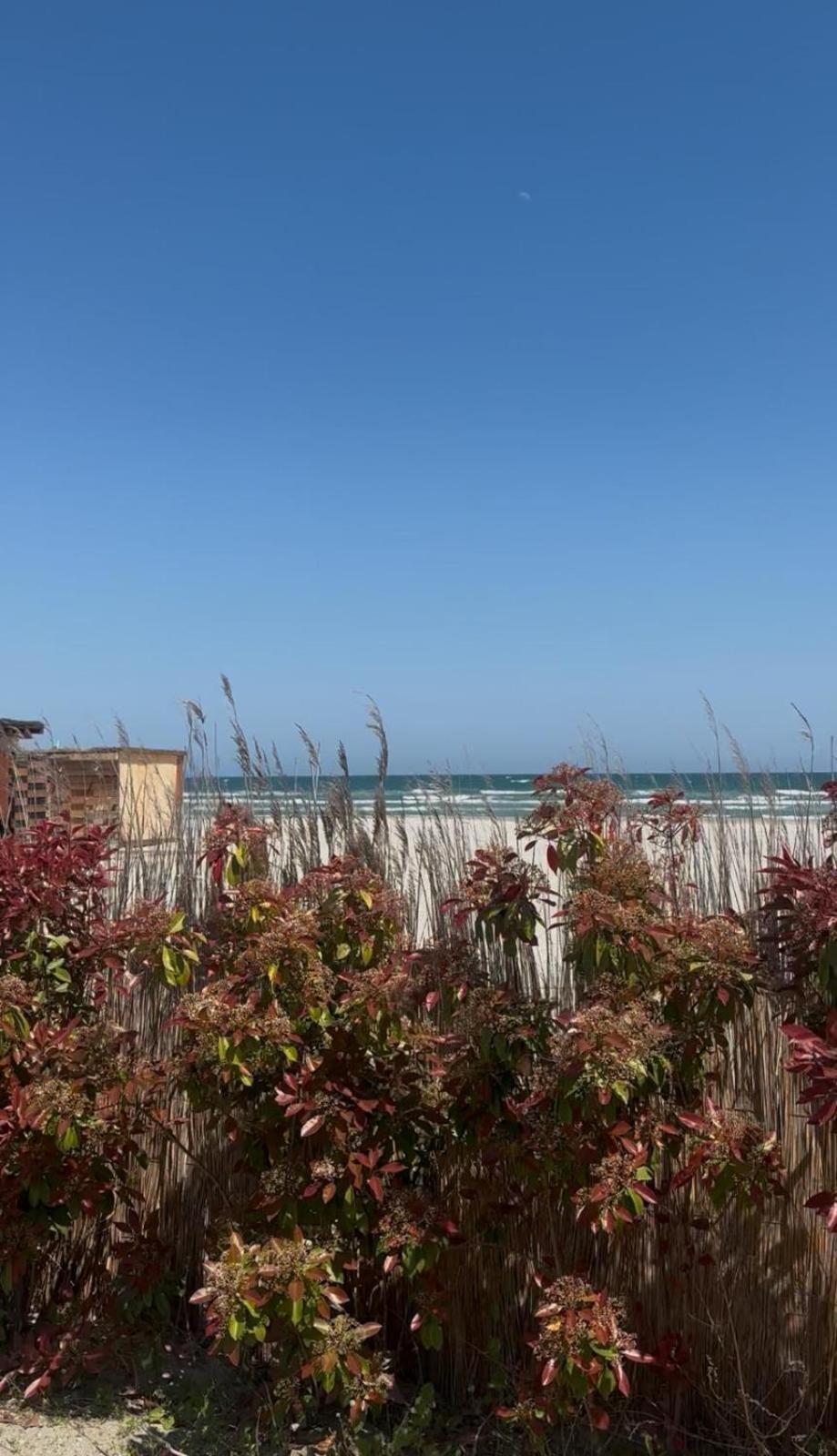 Sea View Luxury Apartament ナボダリ エクステリア 写真